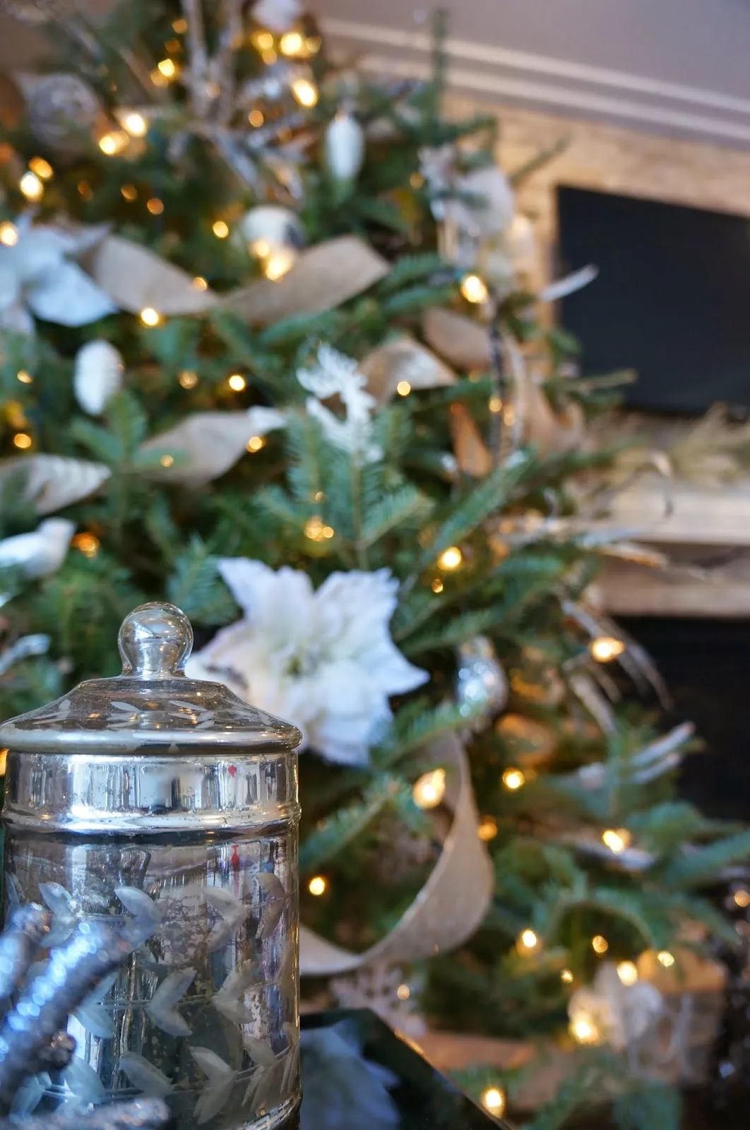 It's a pretty Prins life: Oh Christmas Tree! Oh Christmas Tree!