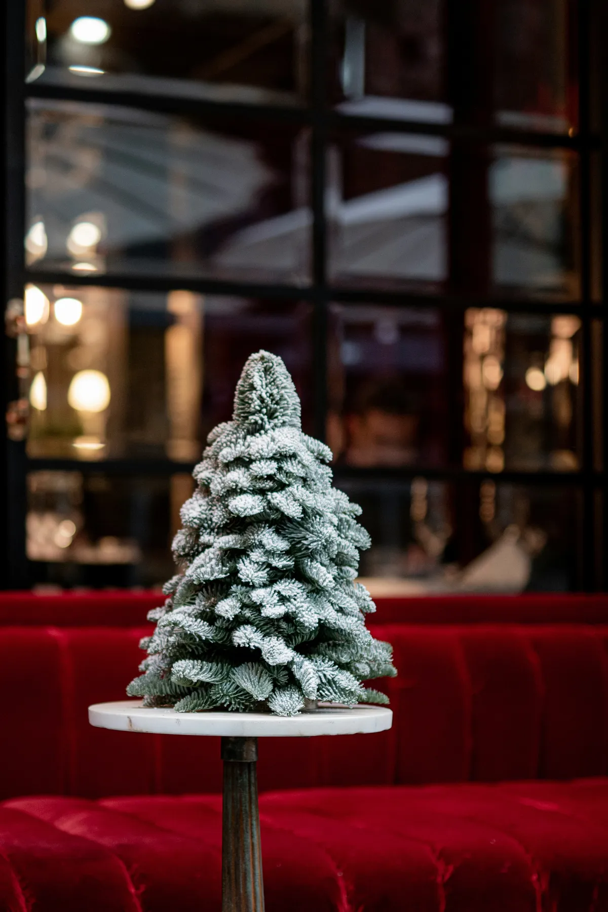 it's beginning to look a lot like Christmas, everywhere you go...