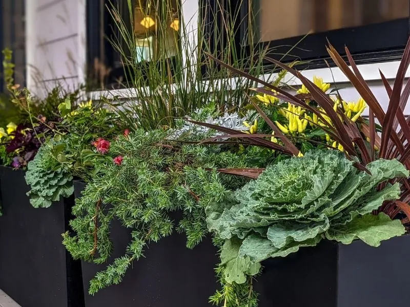 Landscape Design & Build Services • Cross Creek Nursery and Landscape