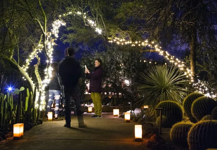 Las Noches de las Luminarias 2019 in photos at Desert Botanical Garden