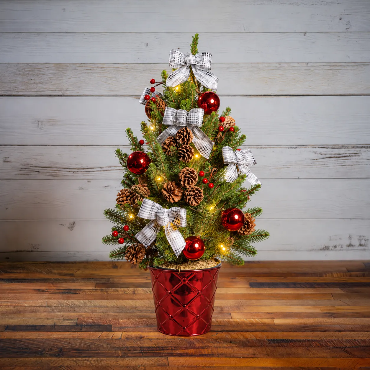 Live Christmas Tree That Defines Holiday Elegance and Tradition – Lynch  Creek Farm