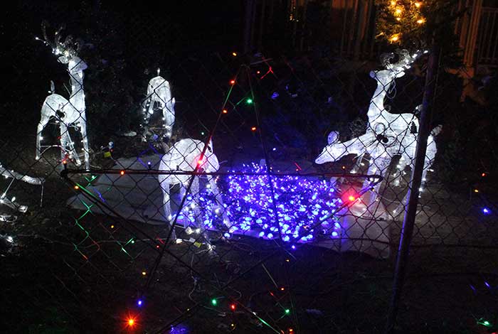 Local Christmas lights cheer up a blustery night – GilaValleyCentral