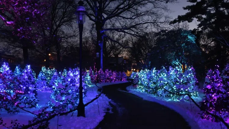 Missouri Botanical Garden's Garden Glow nominated for best holiday light  display in the US. Here's how you can vote | ksdk.com