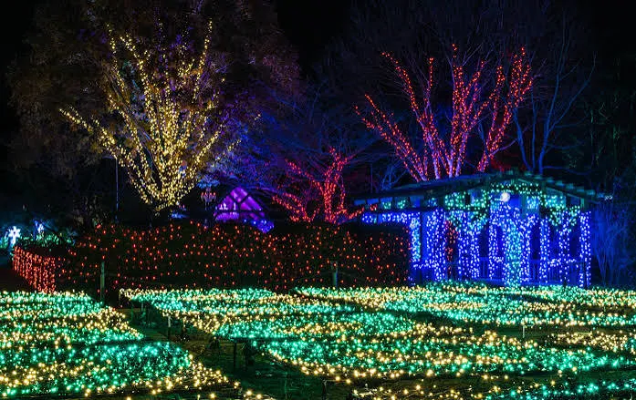 North Carolina Arboretum's Winter Lights | Explore Asheville