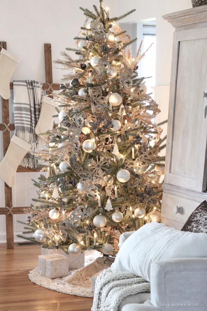 Our Beautiful New Tree | LoveGrowsWild.com - Love Grows Wild