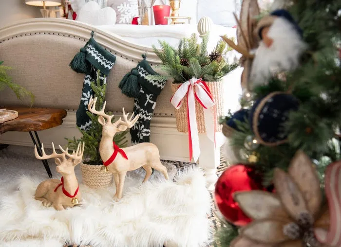 Photos: At Home with the Rogers Family