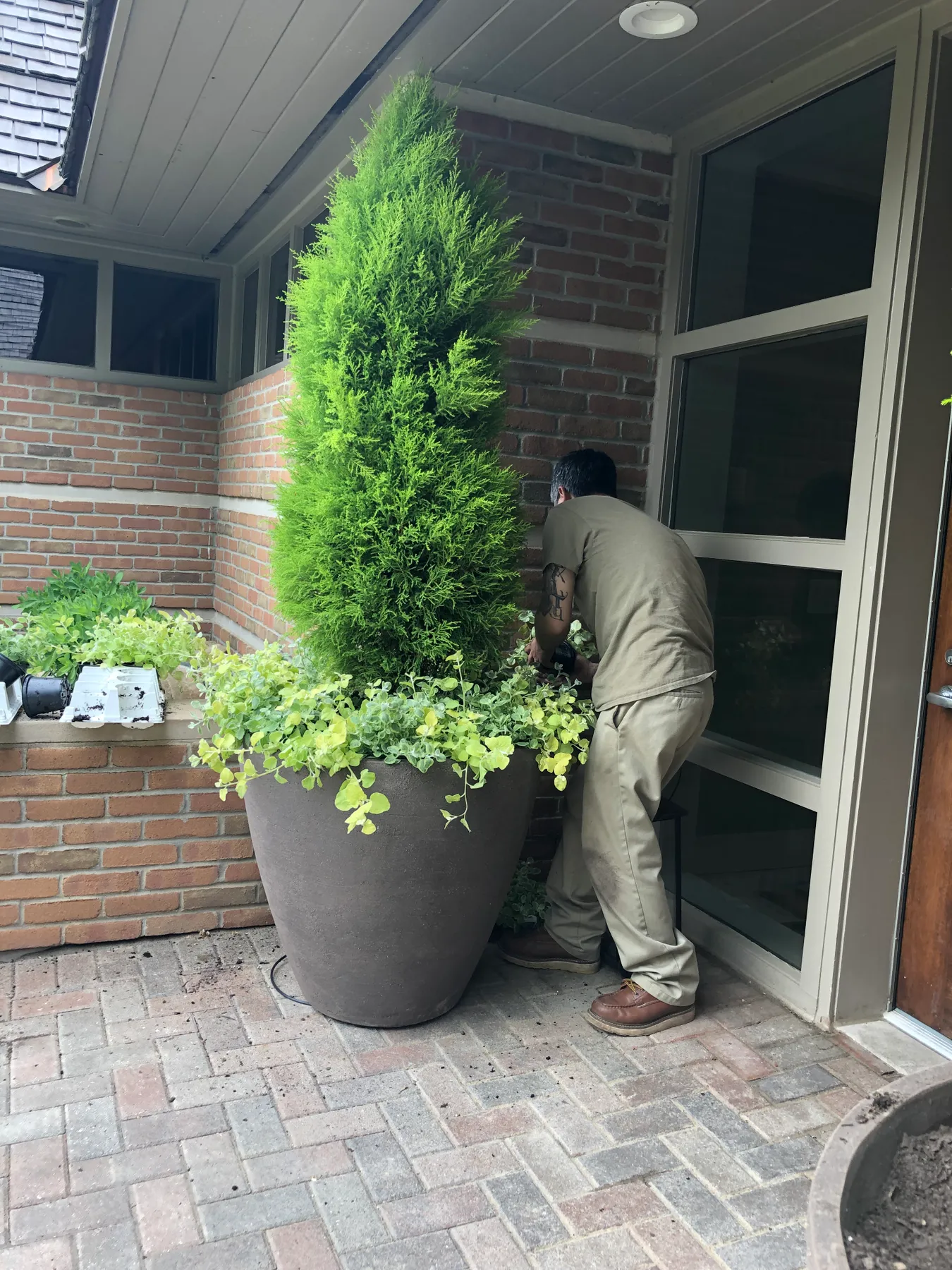 Planting The Summer Pots | Deborah Silver & Co.