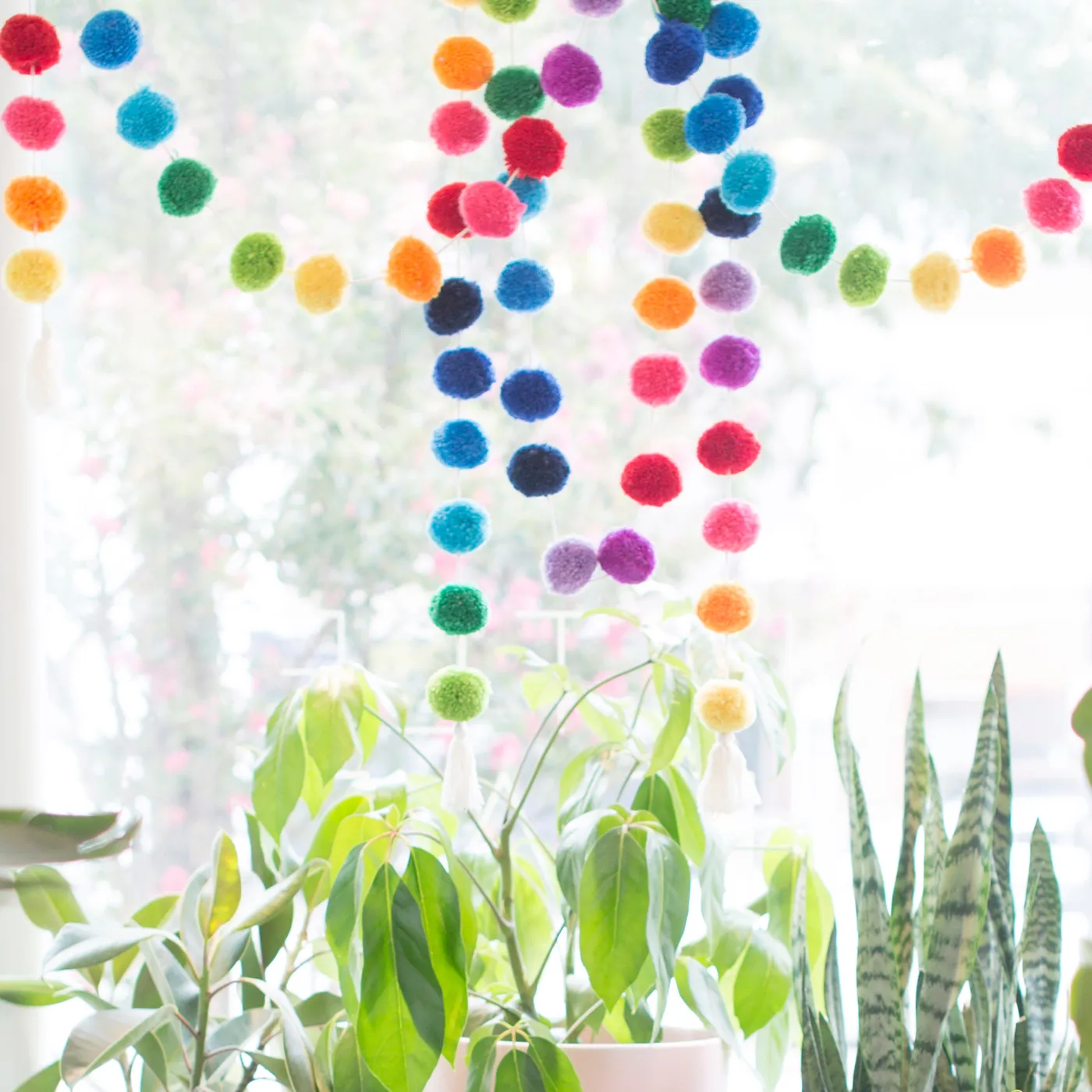 Pom Pom Garland – Salt & Sundry