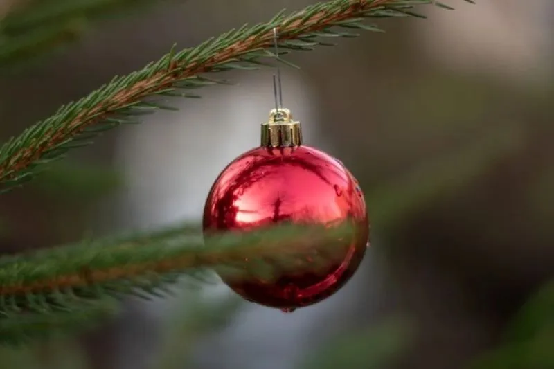 Popular reviews about the best tabletop artificial Christmas trees