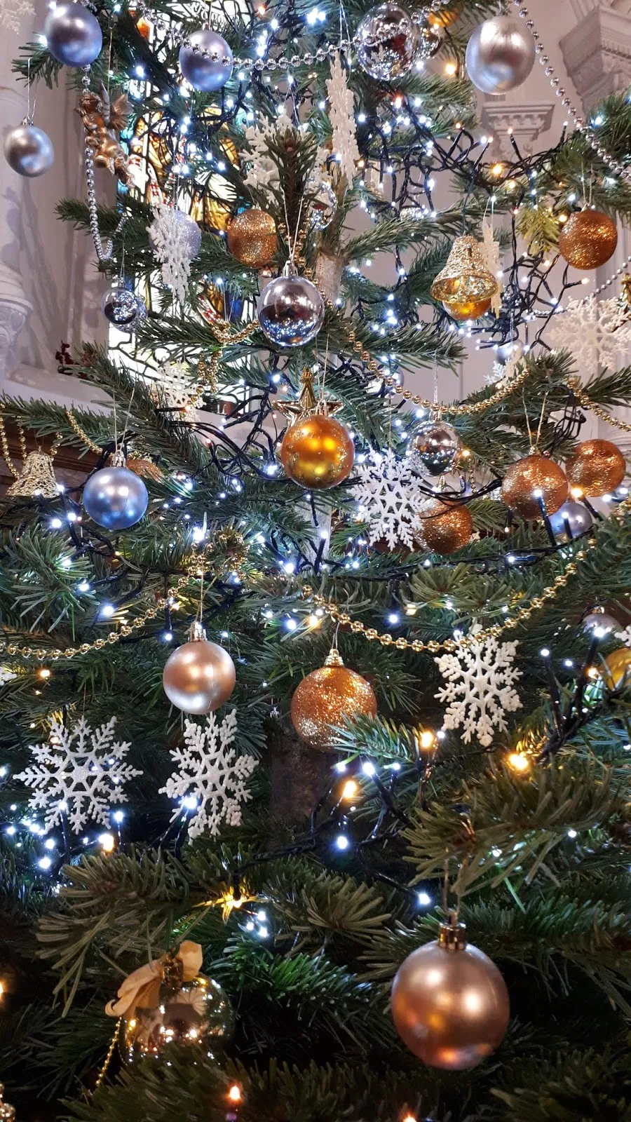 Radical Honey: Oh, Christmas Tree ~ the Fifth Day of Christmas