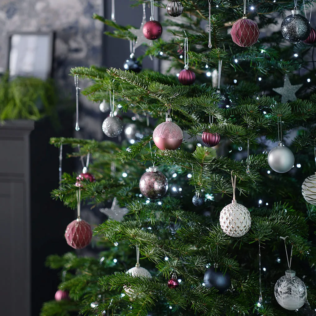 Real Christmas tree buying guide at B&Q