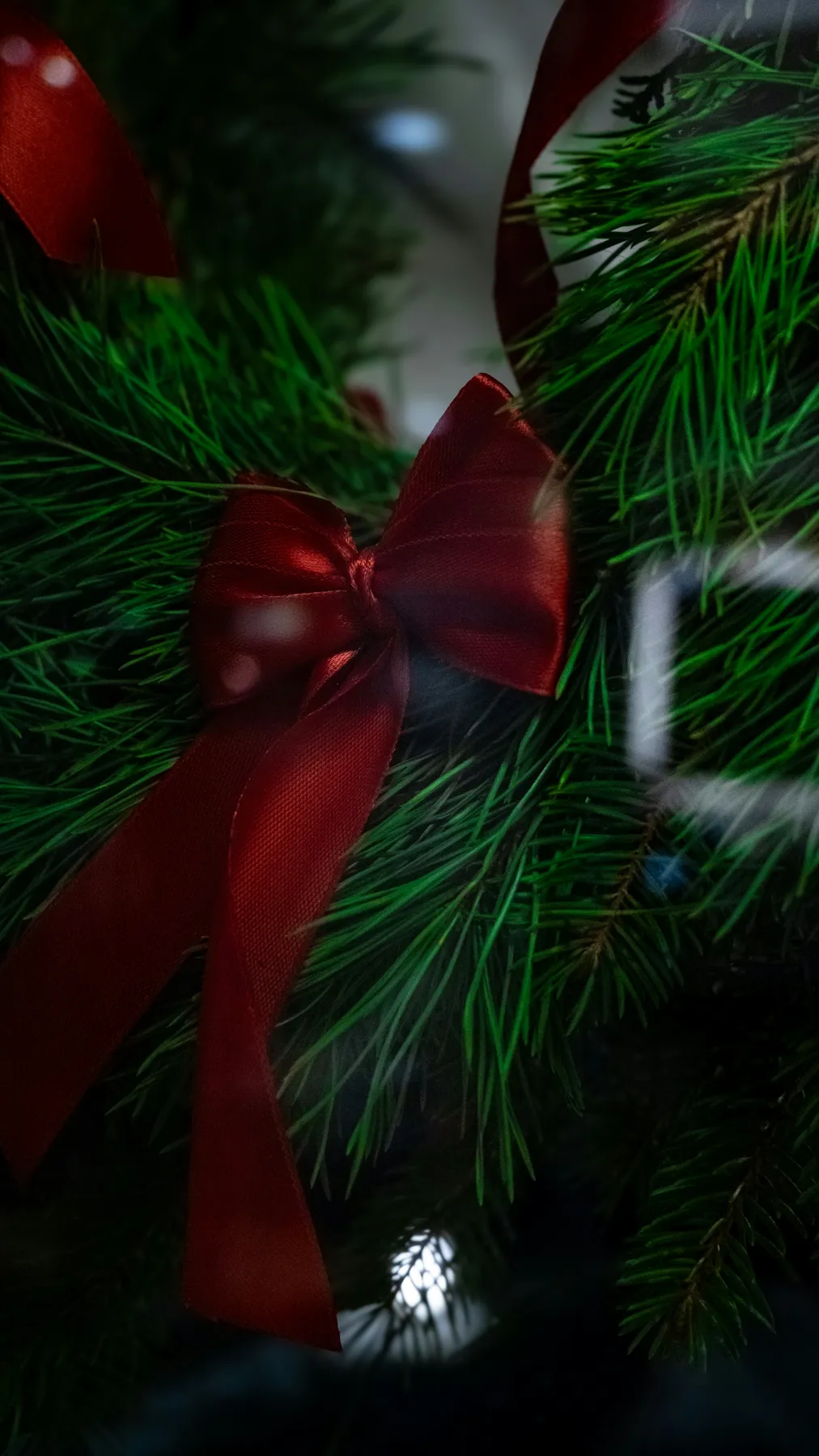 Red ribbon tied on a green christmas wreath