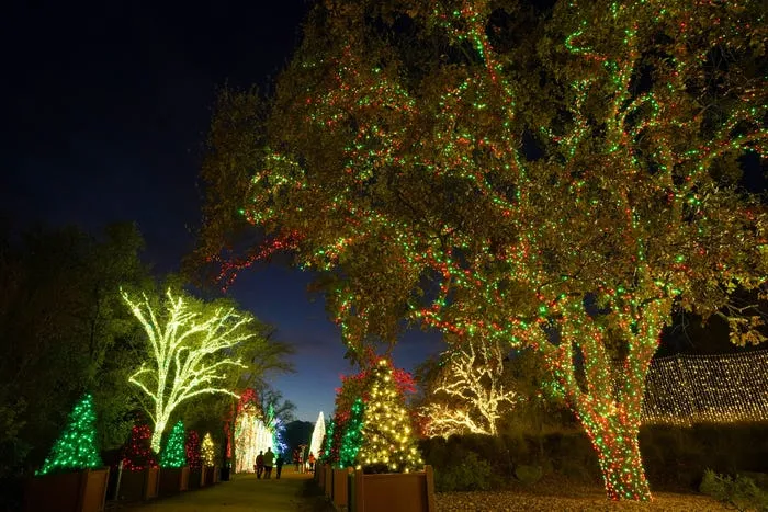 Redding Garden of Lights show adds new displays to its holiday lineup