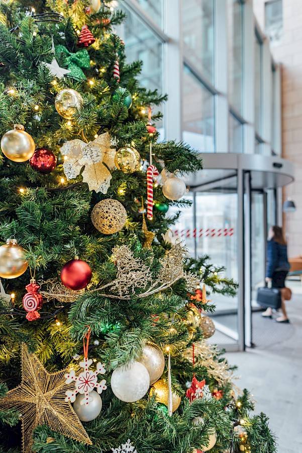Rent a Christmas tree for your business | Nature at Work