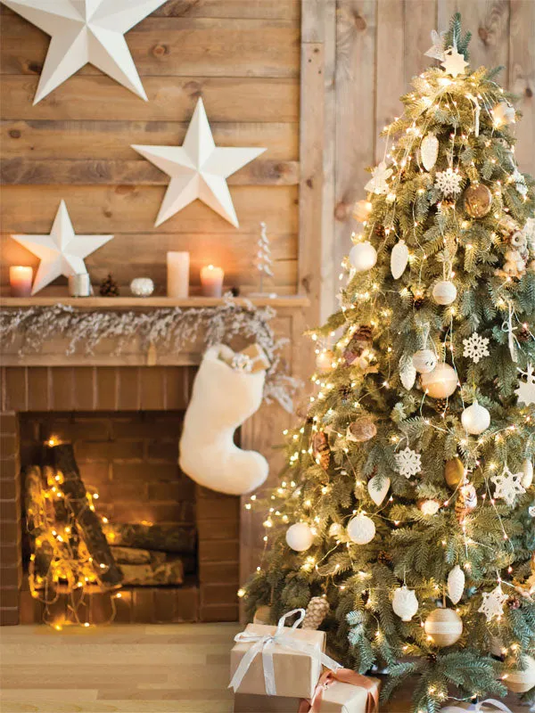 Rustic Christmas Backdrop - Denny Mfg