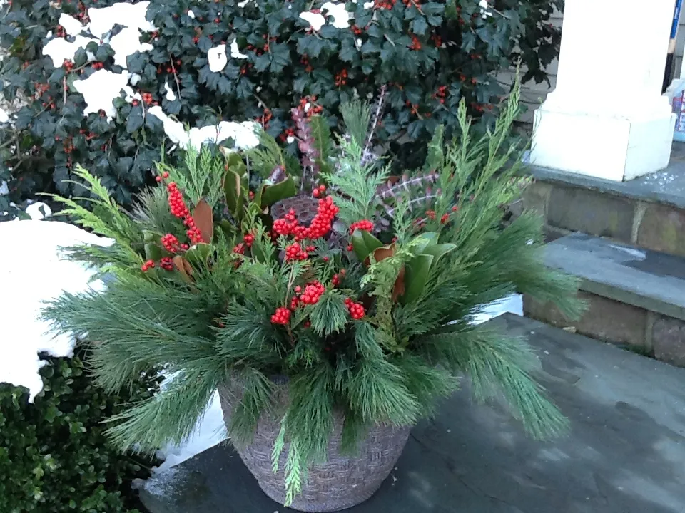 Seasonal Containers - Cedarwood Landscaping