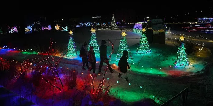 See photos of Reiman Gardens' Winter Wonderscape holiday lighting