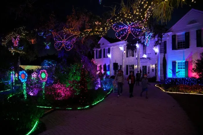 See photos of Selby Gardens' spectacular holiday lights in Sarasota