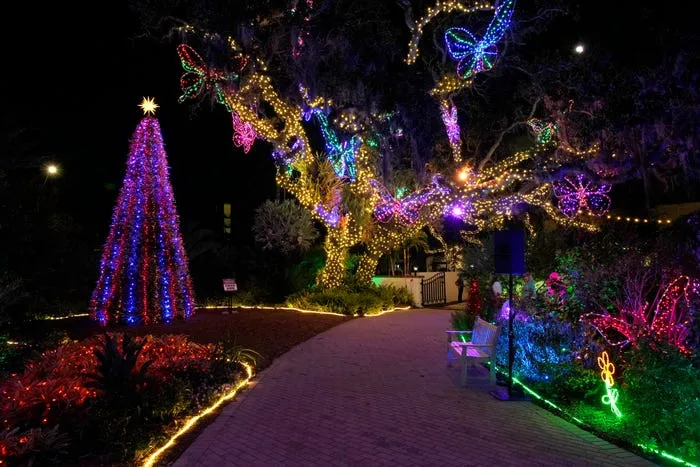 See photos of Selby Gardens' spectacular holiday lights in Sarasota