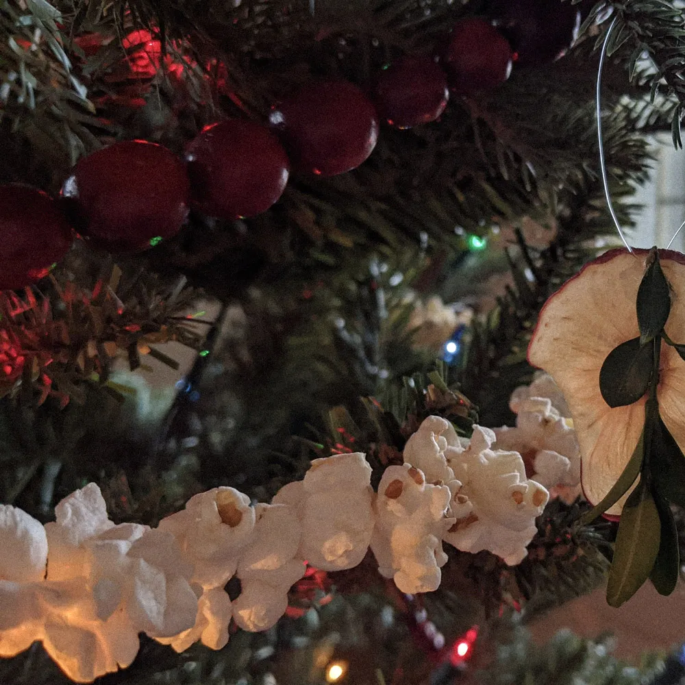 Stringing Up a Homemade Christmas Part II: Popcorn & Cranberry Garland - Hearth & Field