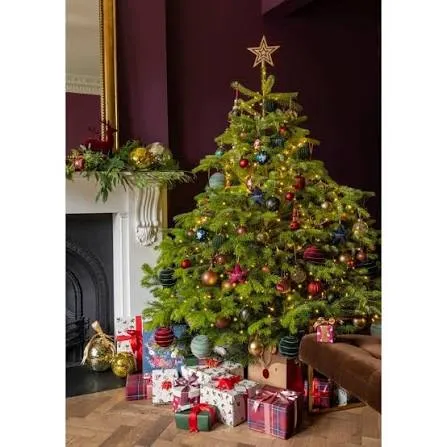 Tesco Green/Burgundy Flocked Bauble Christmas Decoration Assortment - Tesco  Groceries