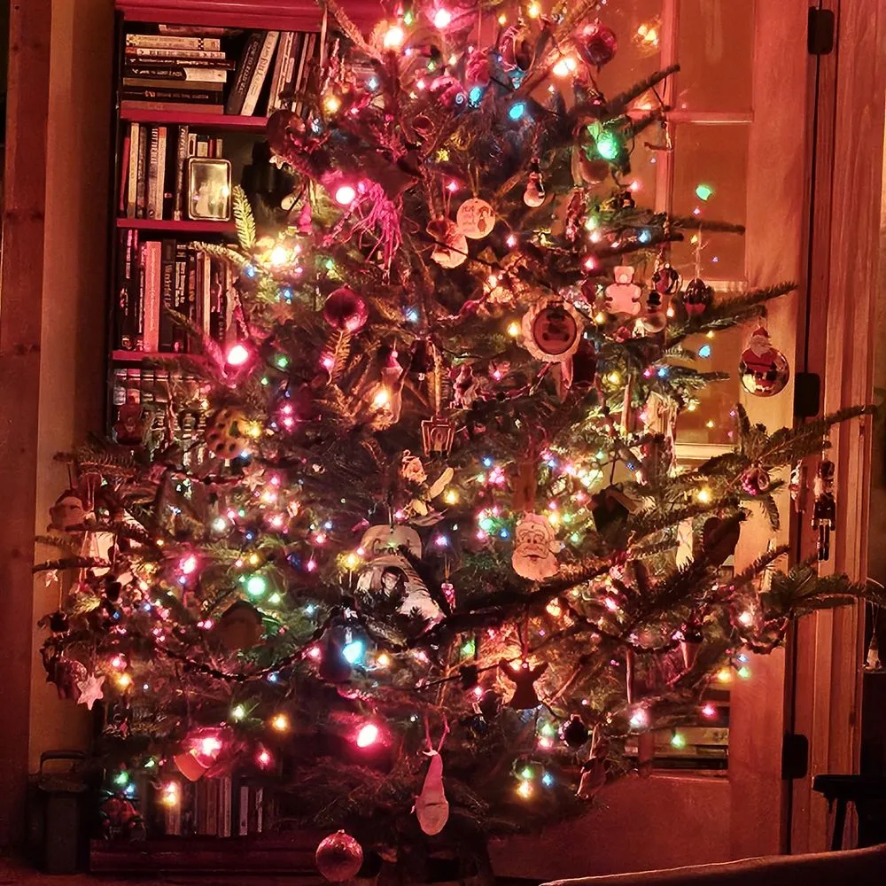 THE BEST 10 Christmas Trees near FALMOUTH, MA 02540 - Updated 2026 - Hours  - Yelp