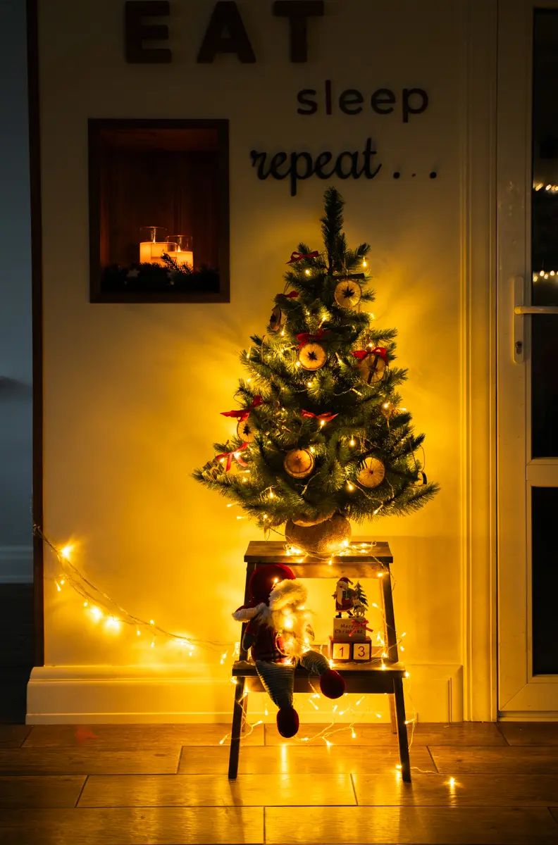 The Best DIYs and Decorating Ideas of December 2024 - Shelterness