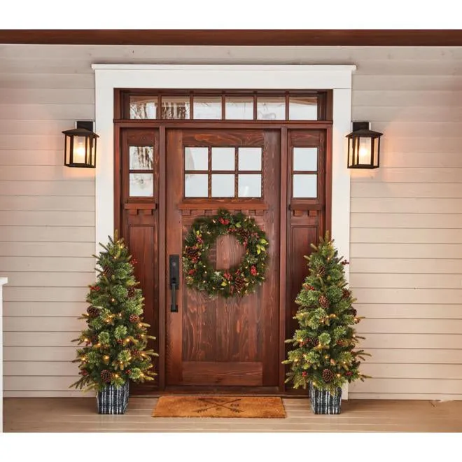 The Best Outdoor Christmas Tree Ideas to Light Up Your Yard
