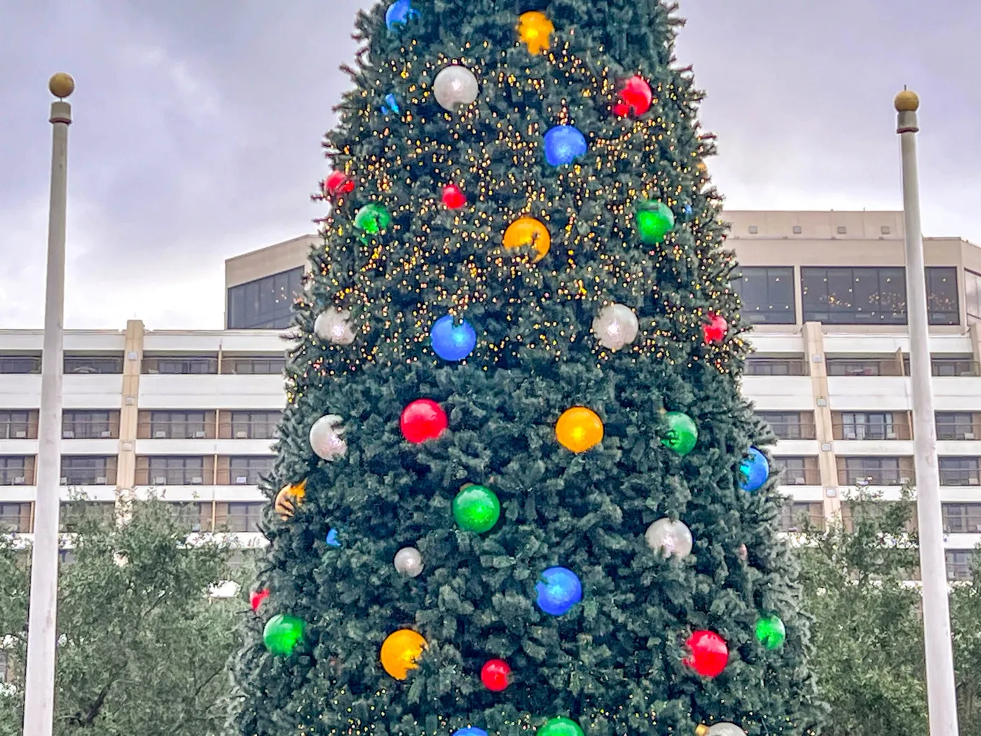 The Most Spectacular Tree Arrives at Disney's Contemporary Resort -  MickeyBlog.com