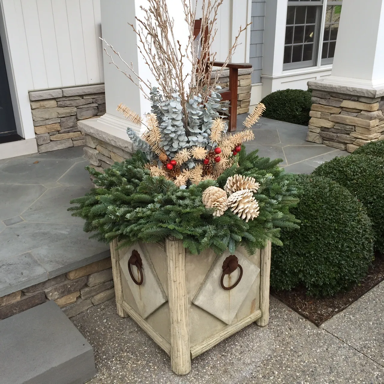 The Pine Cones | Deborah Silver & Co.