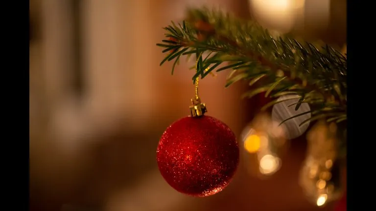 This Is The Best Christmas Tree Farm In Wisconsin | 92.5 WESC