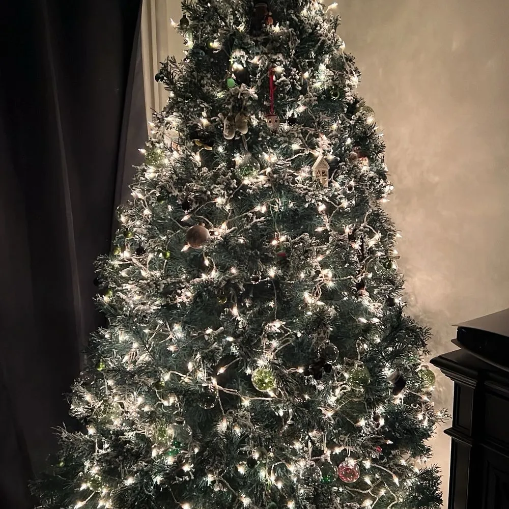 TOP 10 BEST Christmas Trees in Fontana, CA - Updated 2026 - Yelp