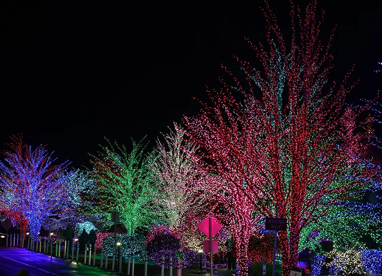 Tulalip's winter wonderland returns for another dazzling season - Tulalip  News