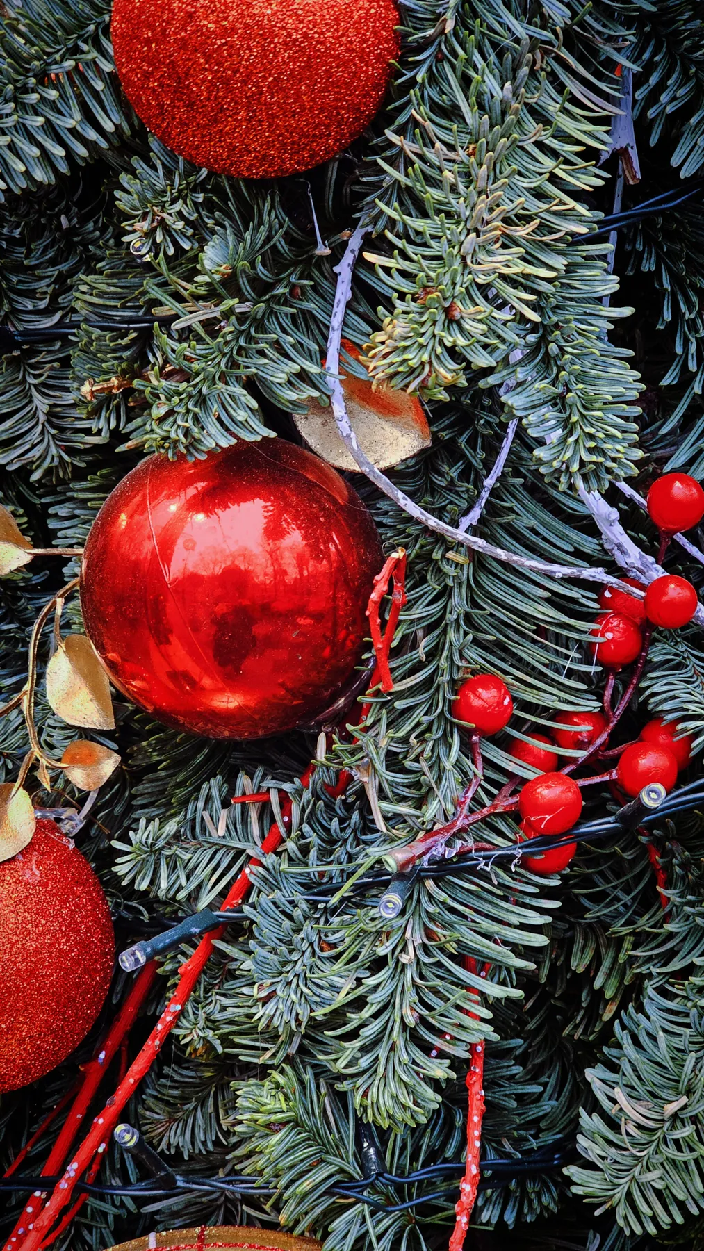 Vibrant red ornament on Christmas tree with pine branches and berries.