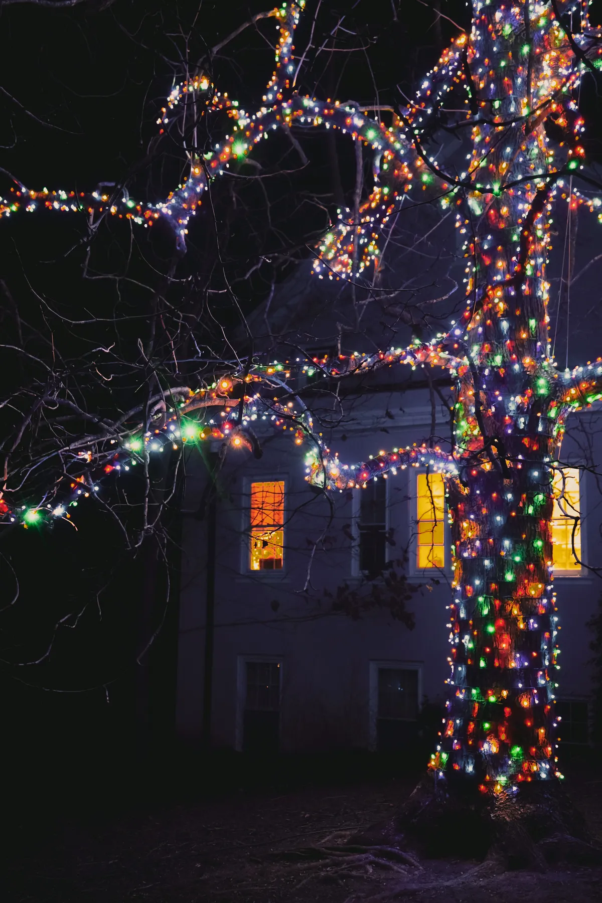 Vibrant tree lights brighten a house facade in a festive night scene.