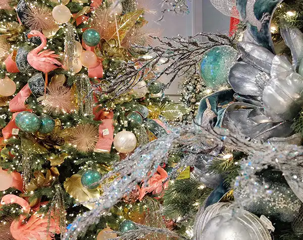 Visiting Aldik Home: Christmas 2019