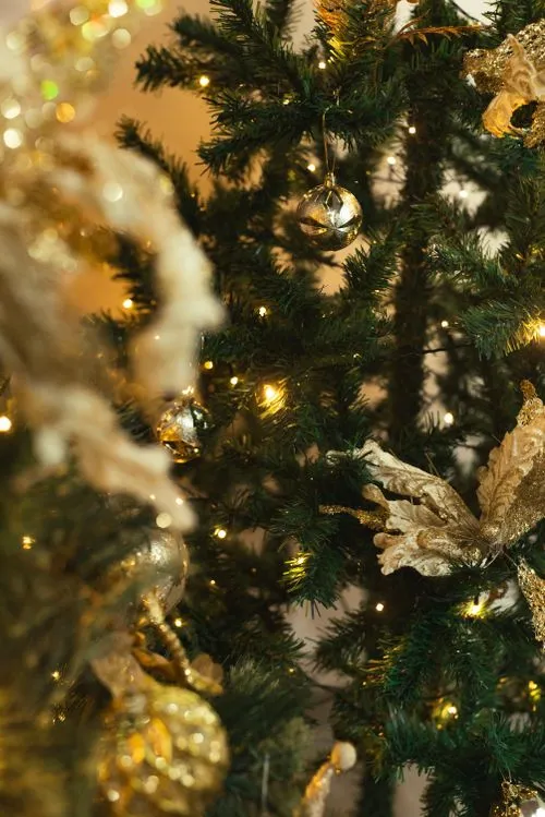 Warm Festive Christmas Tree Lights Close-Up · Free Stock Photo