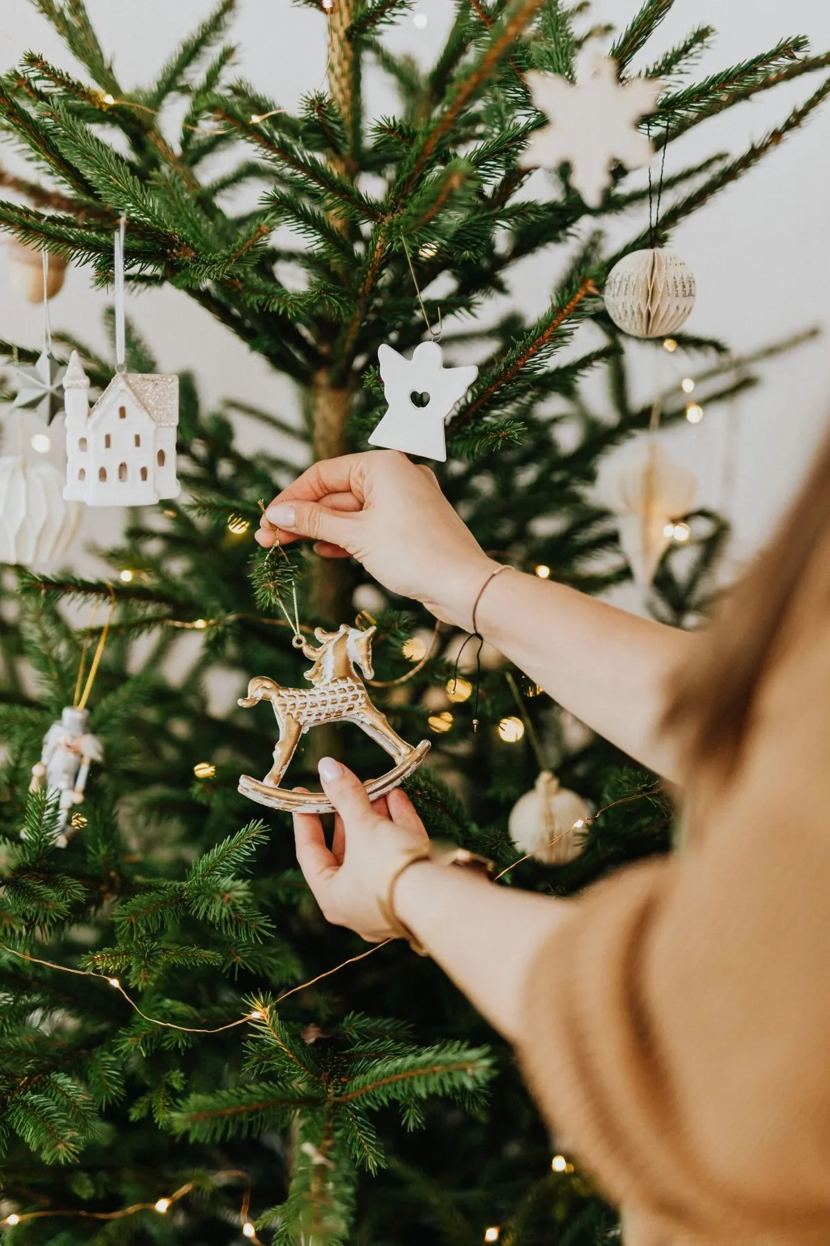 Wassenaar Christmas tree collection days/times/places
