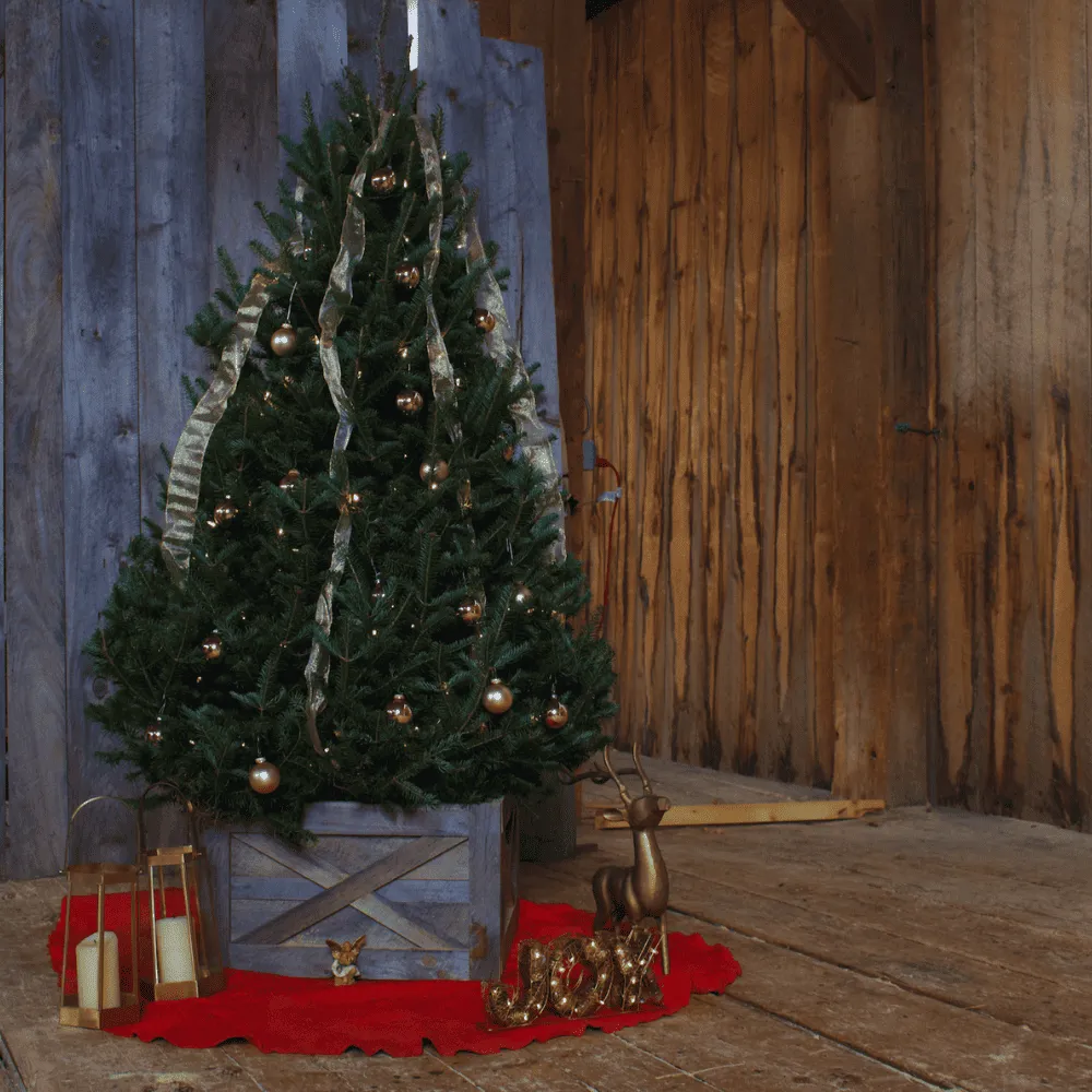 Weathered Gray Christmas Tree Collar - The Pennsylvania Sawmill Company