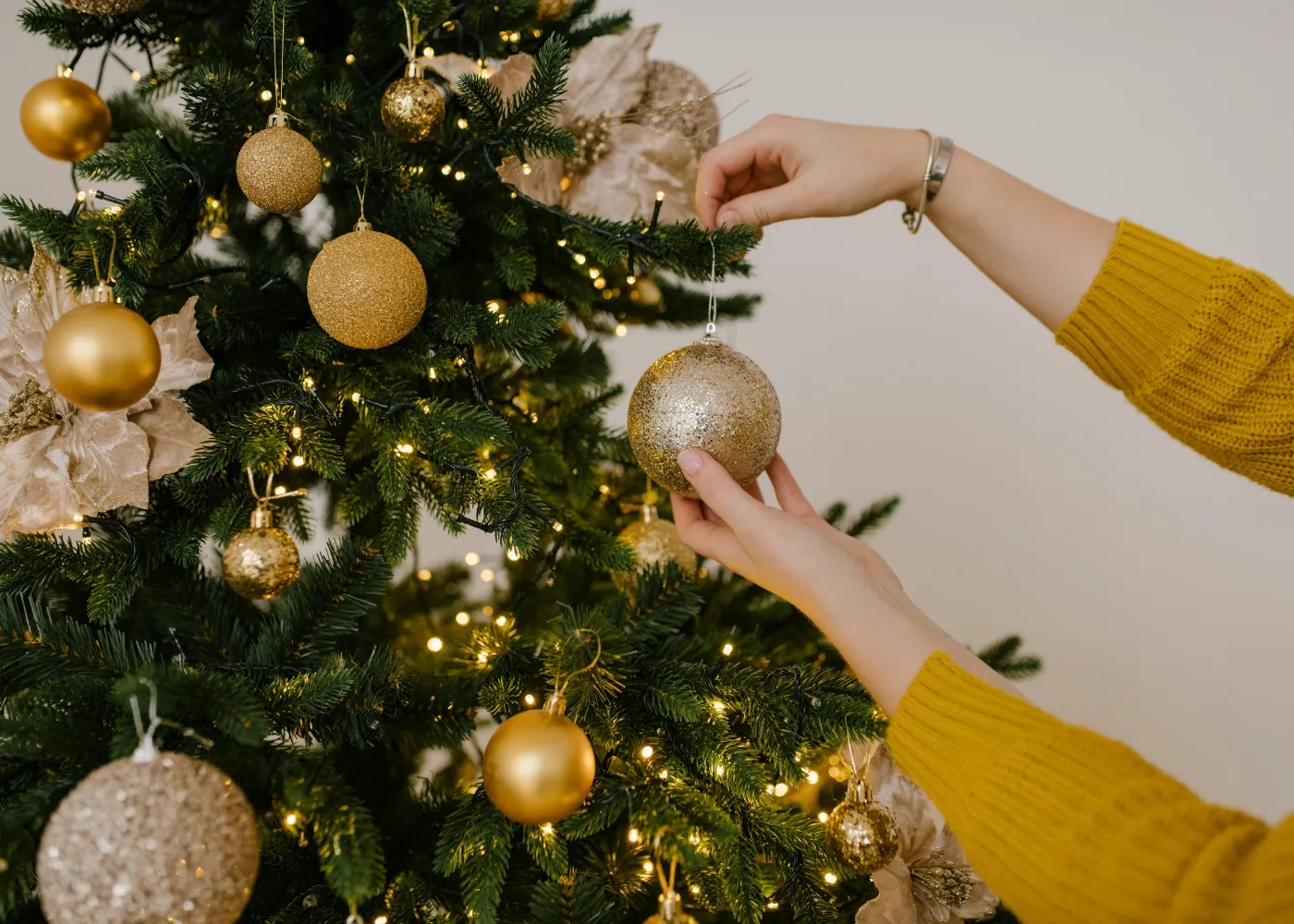 Where To Buy Christmas Trees In Singapore For 2026