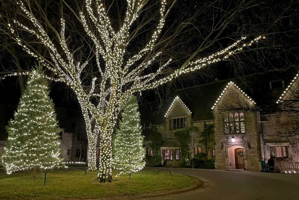 Why Tree Wrapping Is the Centerpiece of Your Outdoor Holiday Decorations -  Celebrate Holiday Lighting