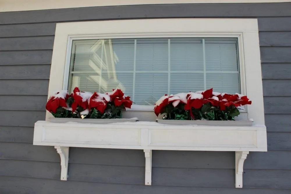 Window Box Ideas - Momcrieff