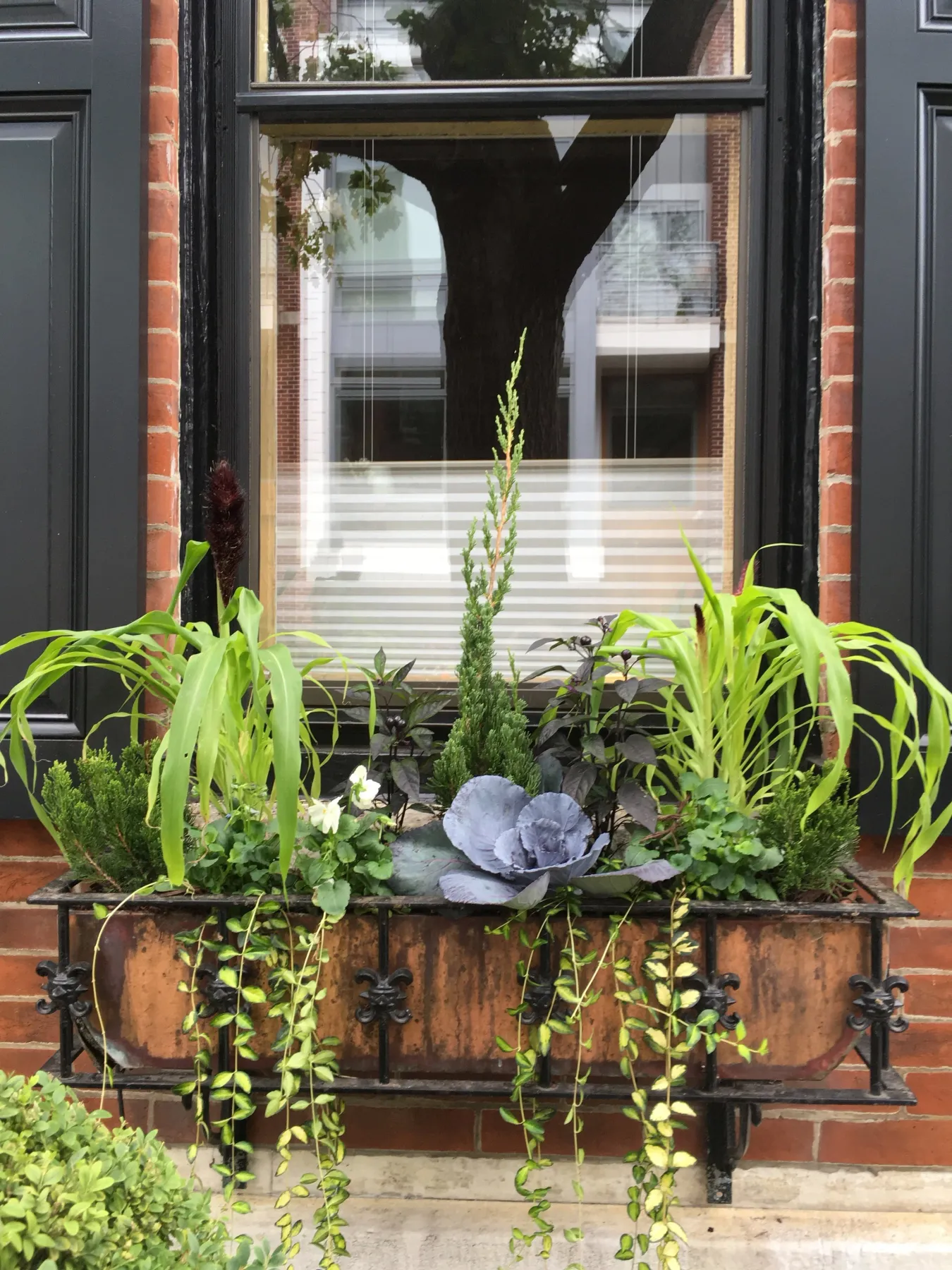 Window Boxes — City Planter