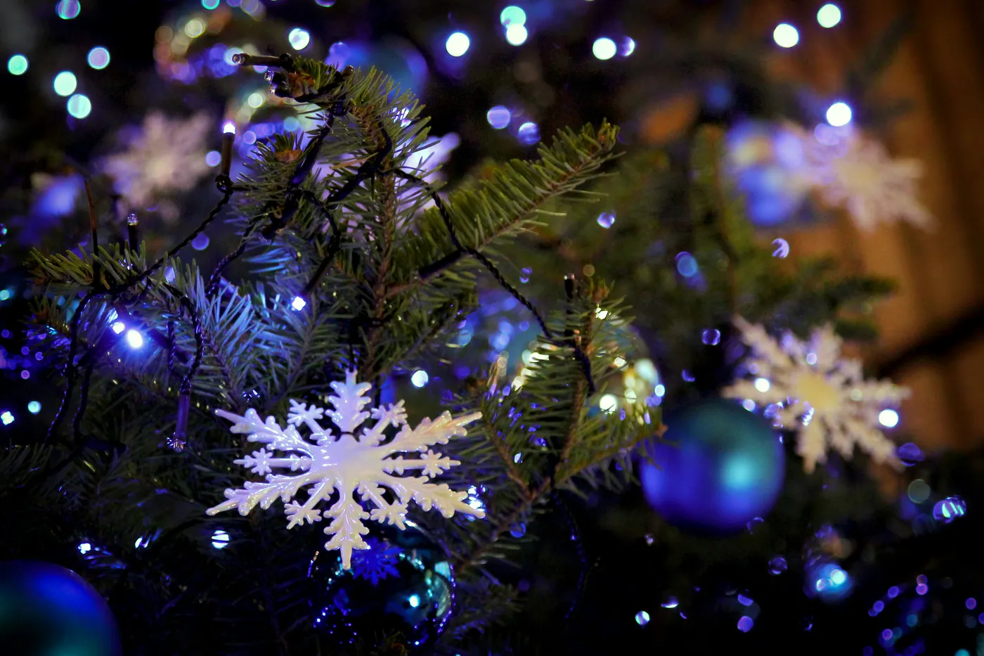 Winter Illuminations