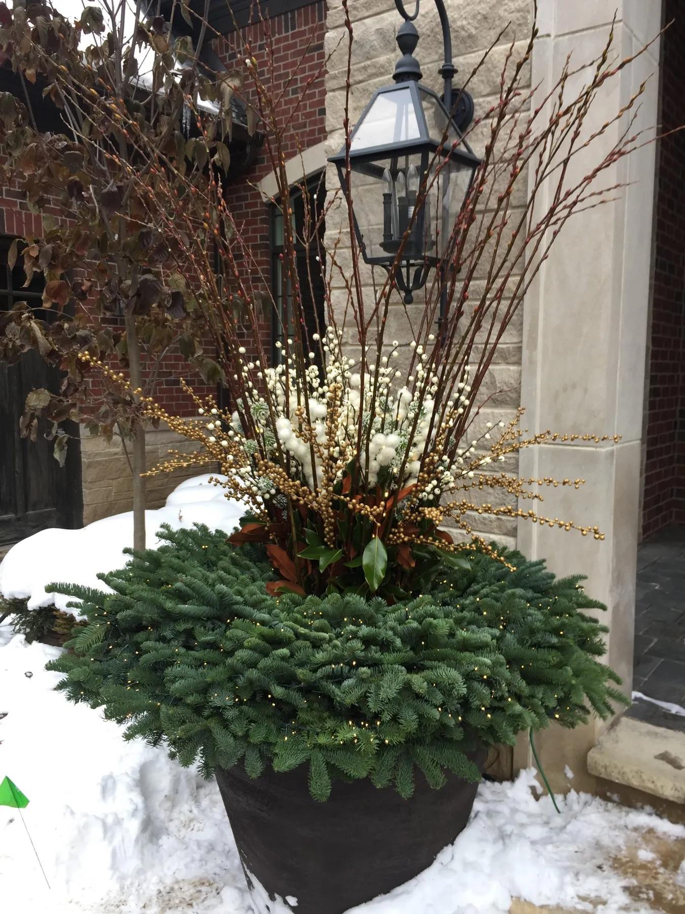 winter pots | Deborah Silver & Co.