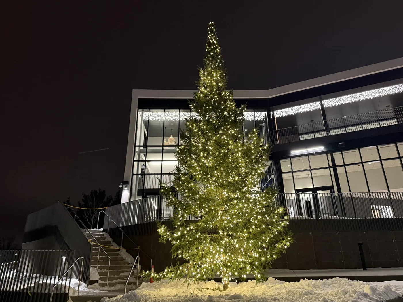 Woodbury Rings in the Season With Inaugural Christmas Tree Lighting at  Central Park – Woodbury News Net