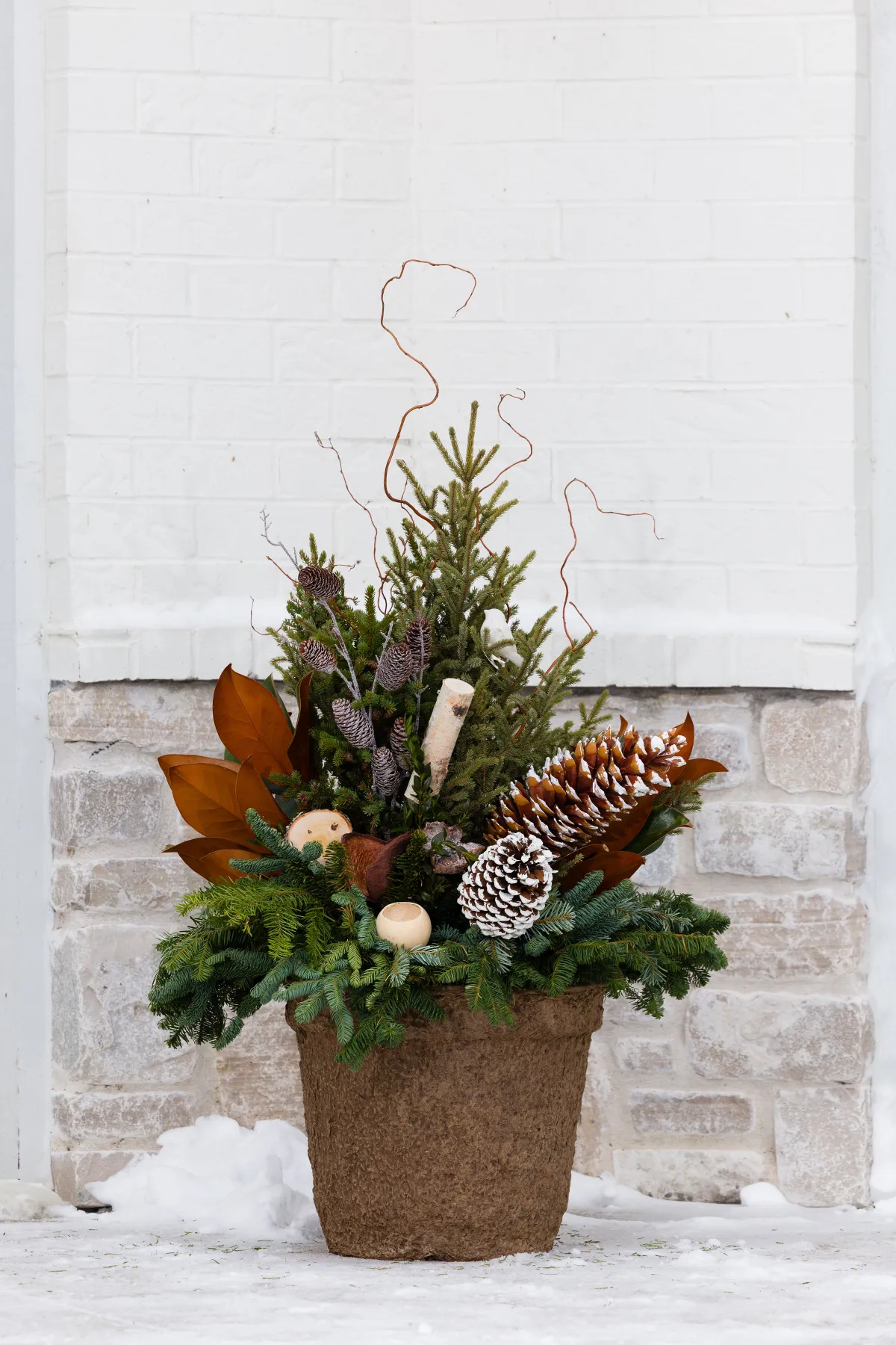 Woodland Winter Collection - Porch Pots Direct
