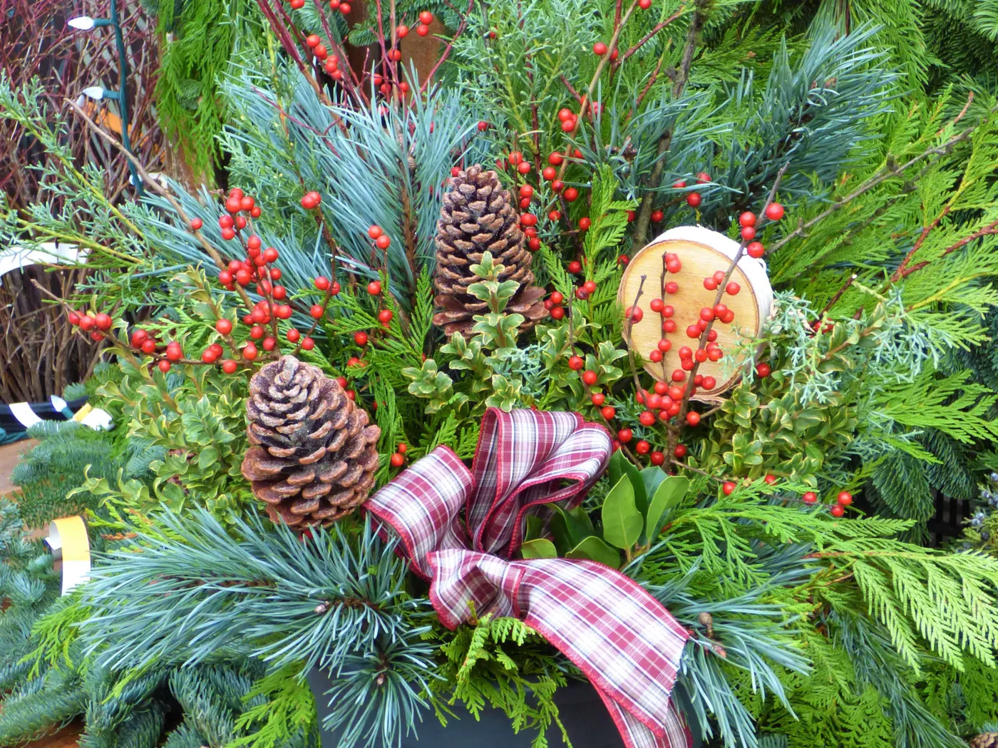 Your Guide to Christmas Porch Pots – Amsterdam Garden Centre