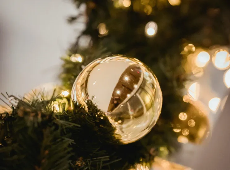 Your Perfect Christmas Tree for Sale